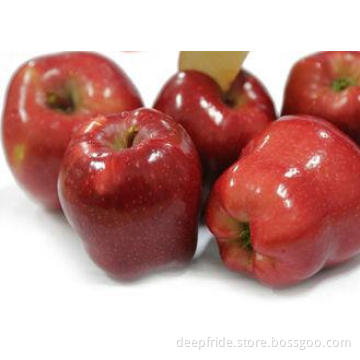 Delicious Sweet Red Apple With 18 KG - 72 , 80 , 96 , 112 P